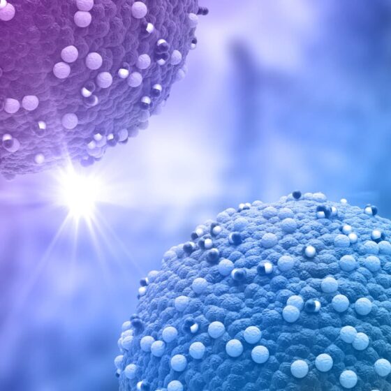 Vasty AI - Created with Vasty WP theme by Greatives