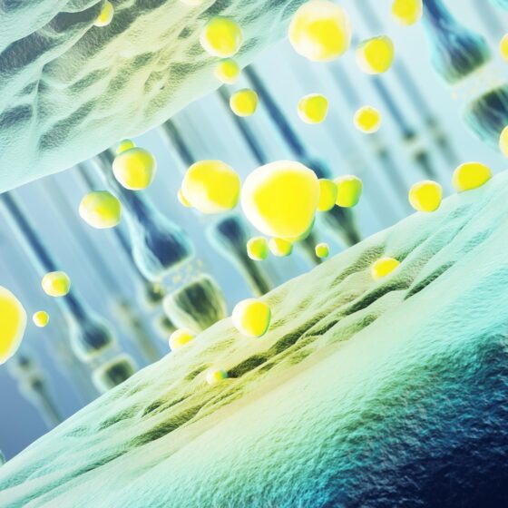 Vasty AI - Created with Vasty WP theme by Greatives