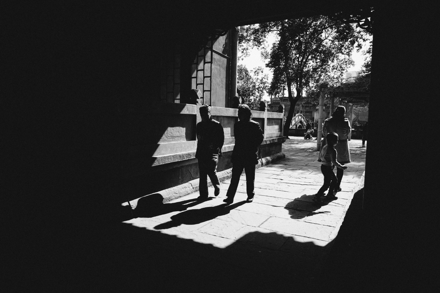 Vasty Photographer - A premium WP theme by Greatives