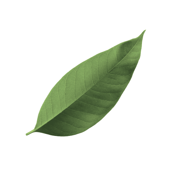 Vasty Spa Demo Case - A Digital Canvas by Greatives