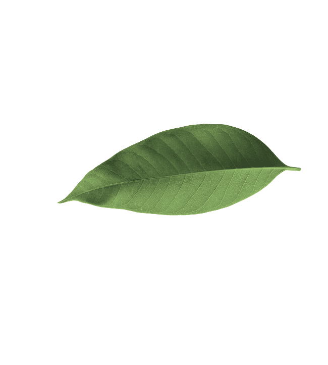 Vasty Spa Demo Case - A Digital Canvas by Greatives